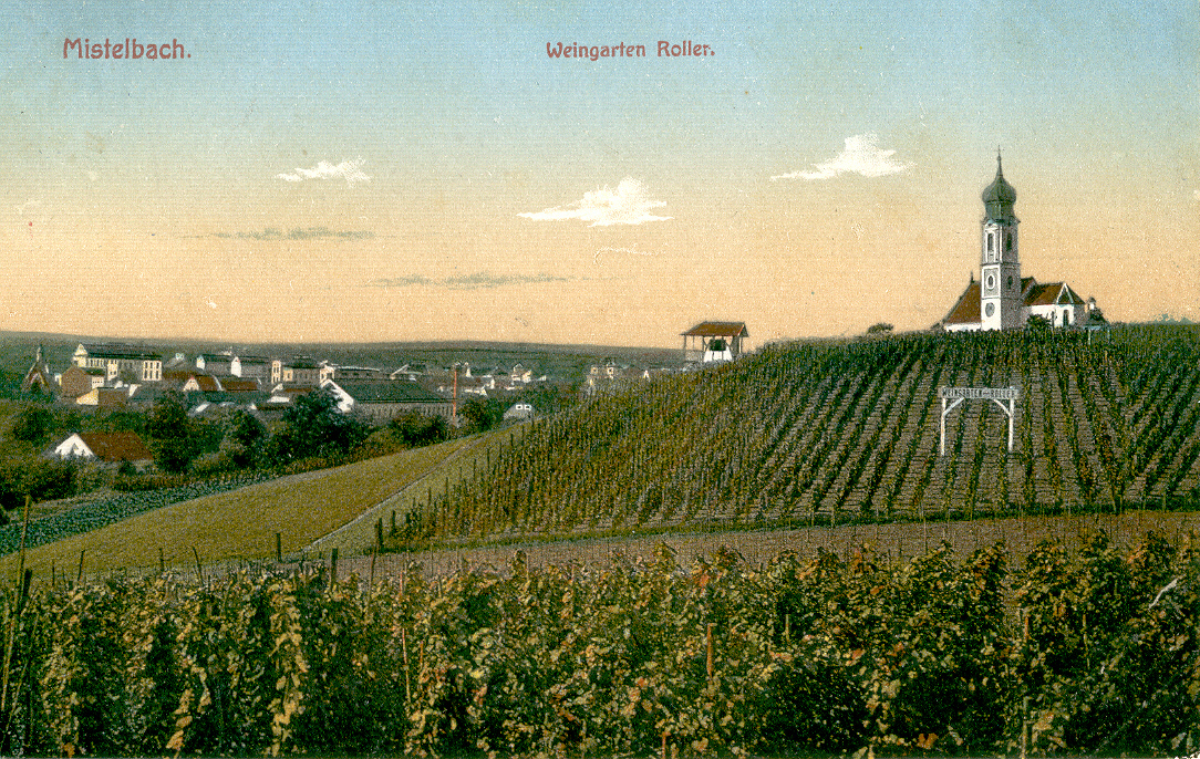 Die weitläufigen Weingärten der Familie Roller am Kirchenberg wurden um 1910 sogar auf Ansichtskarten verewigt.