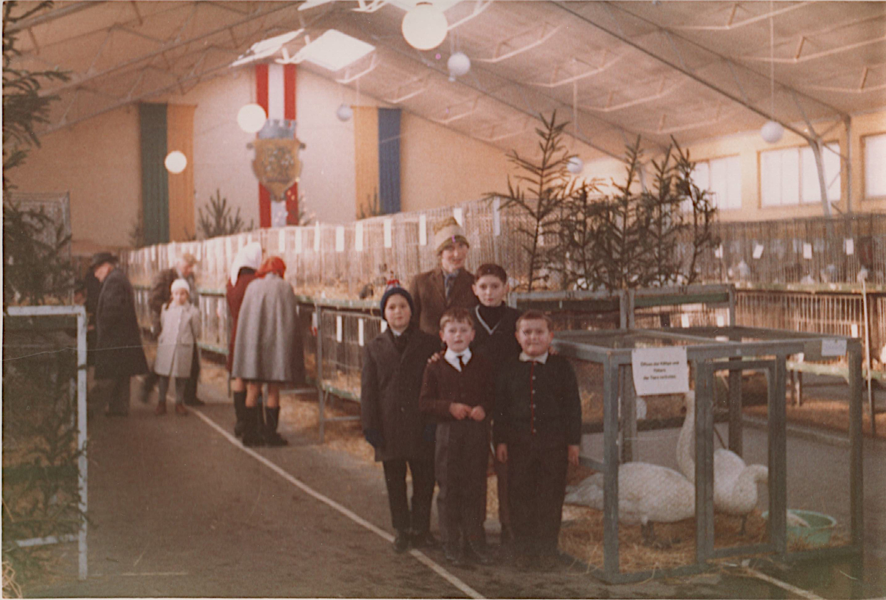 Eine Ausstellung des Kleintierzüchtervereins in der Markthalle noch vor ihrem Umbau zur Stadthalle - 1968