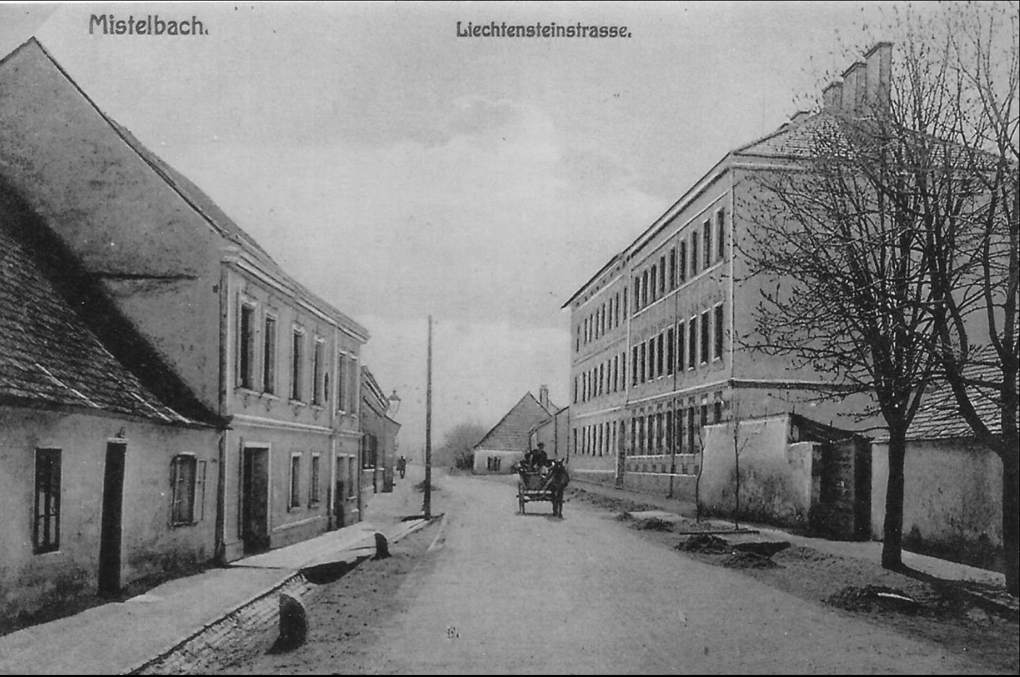Rechts im Bild die beiden zweistöckigen Meeß-Häuser Liechtensteinstraße Nr. 8 und 10 etwa um 1910